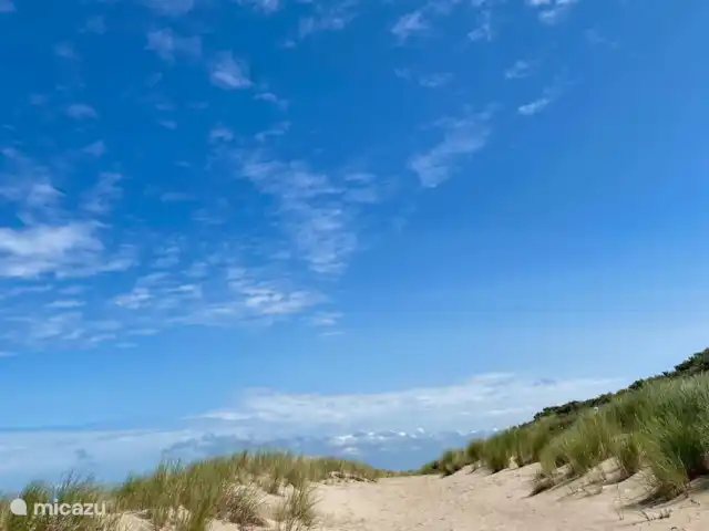 Location de Vacances Pays-Bas, Hollande méridionale, Goedereede, maison de vacances - Palais de Wil Ravi d’aller à la plage !