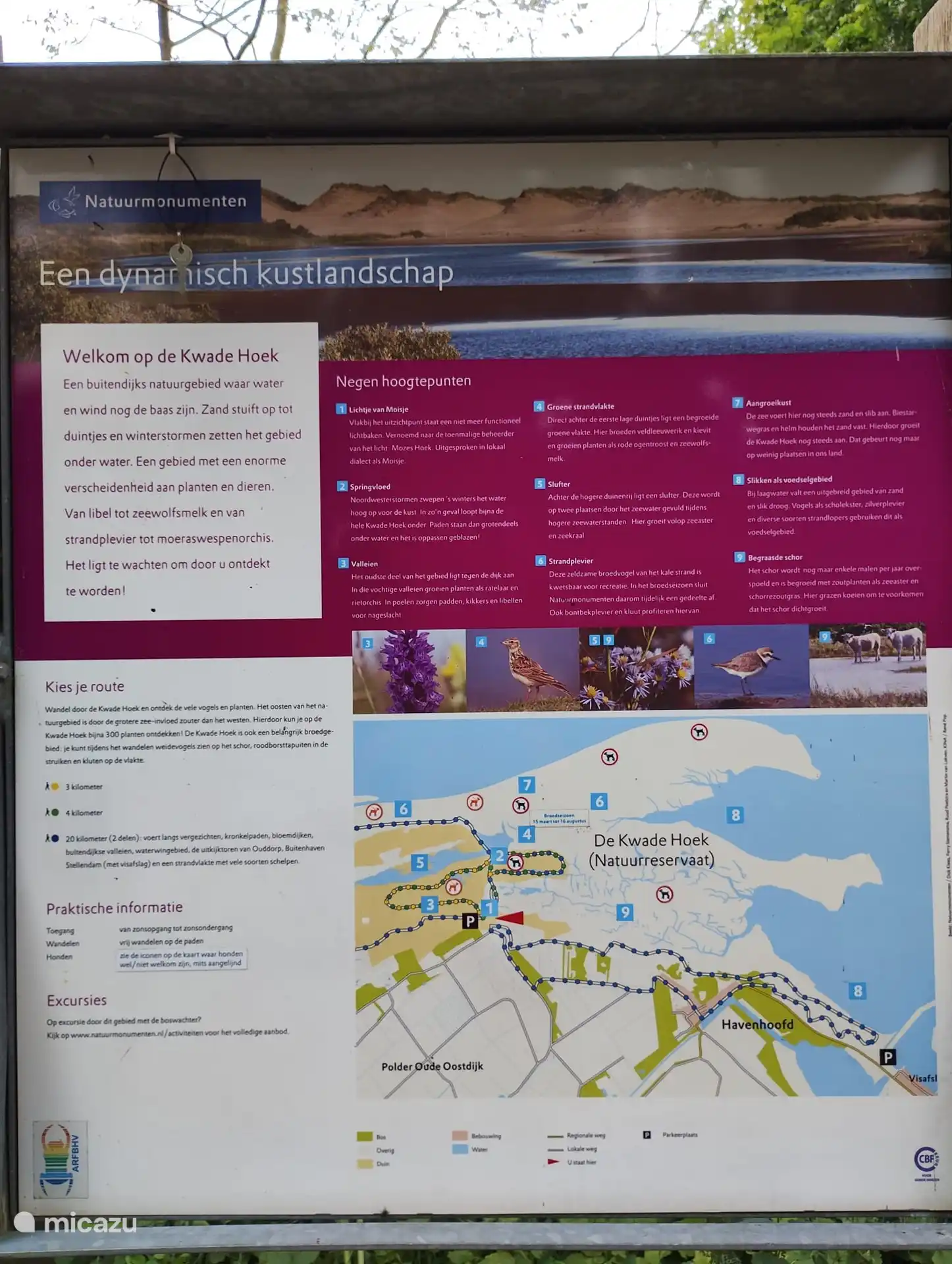 Willkommen im Kwade Hoek, dem Naturstrand in der Nähe von Goedereede