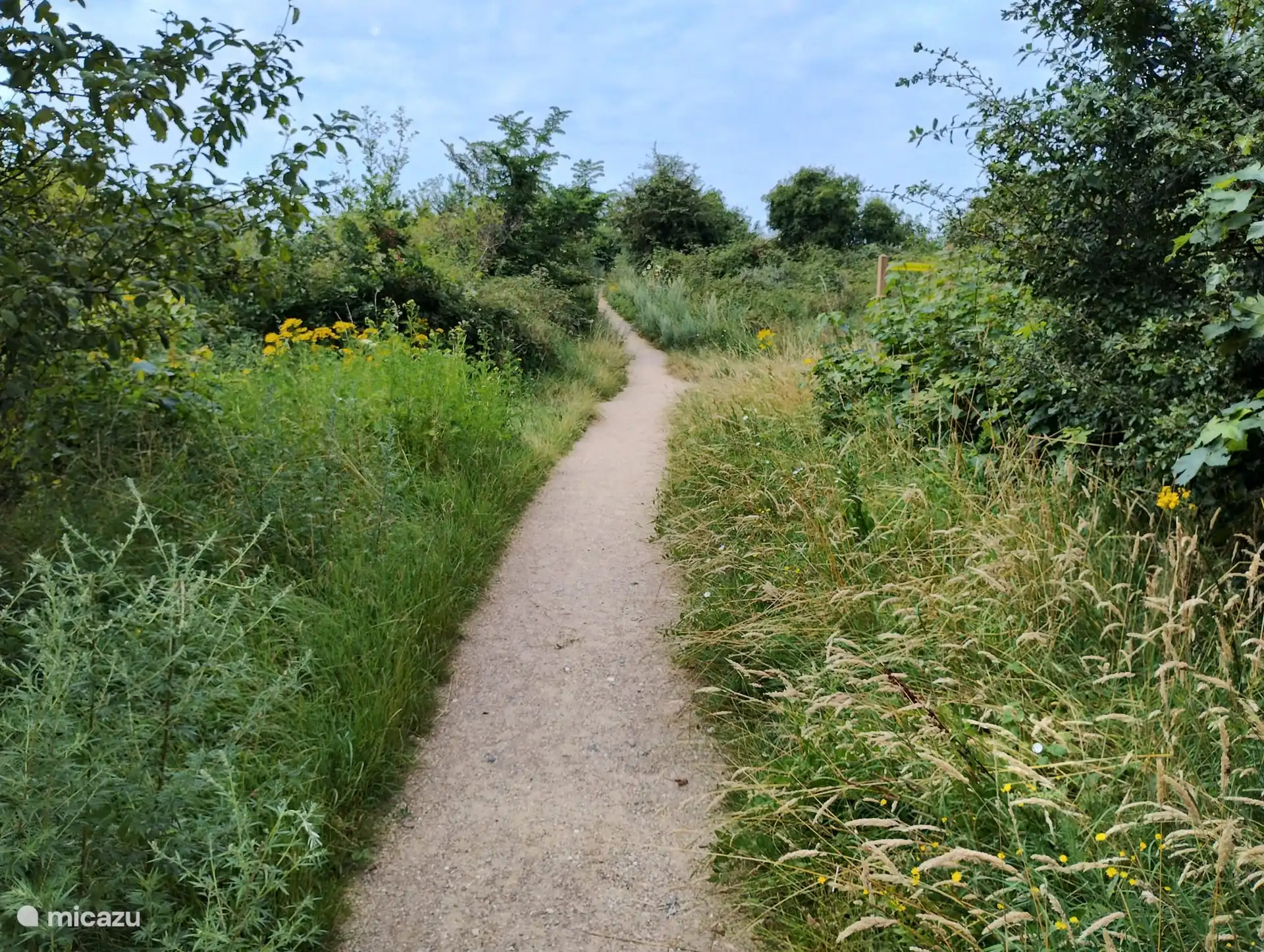 Schöner Spaziergang zum Strand von De Kwade Hoek in Goedereede
