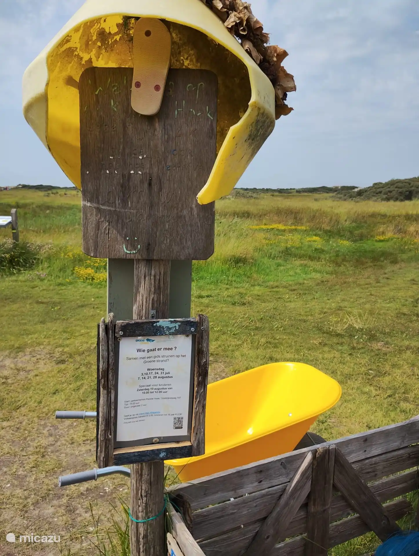 Spazieren am grünen Strand