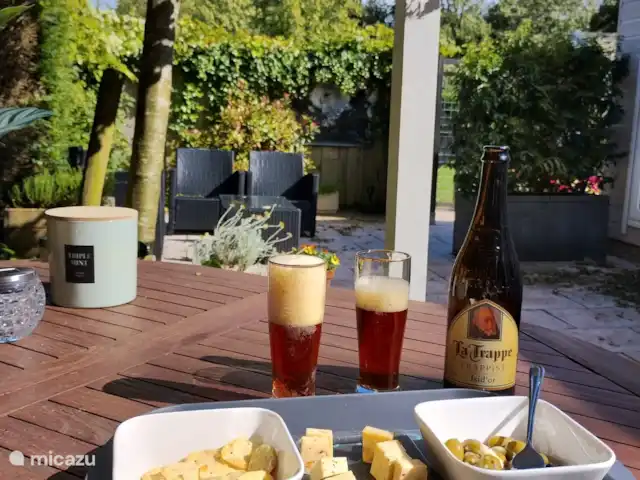 Location de Vacances Pays-Bas, Hollande méridionale, Goedereede, maison de vacances - Palais de Wil Profitez-en !