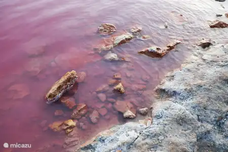 Parc naturel de Torrevieja