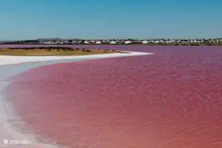 Parc naturel de Torrevieja
