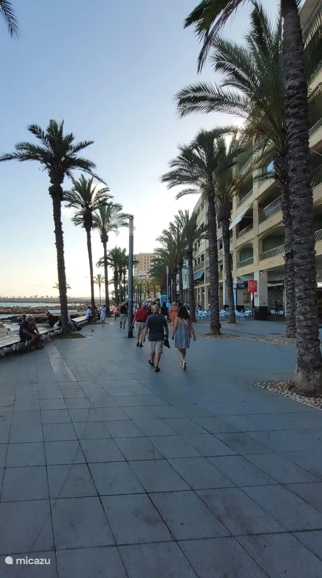 ¡Disfruta del bullicioso y hermoso bulevar de Torrevieja!