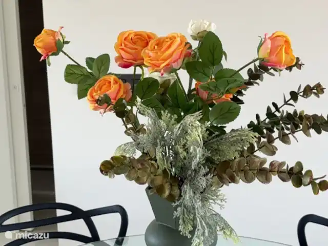 Location de Vacances Espagne, Costa Blanca, Alicante, appartement - Marais de Costacasa décoration