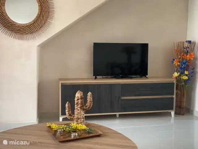 Location de Vacances Espagne, Costa Blanca, Alicante, appartement - Marais de Costacasa Télévision avec toutes les chaînes de différents pays, y compris les films