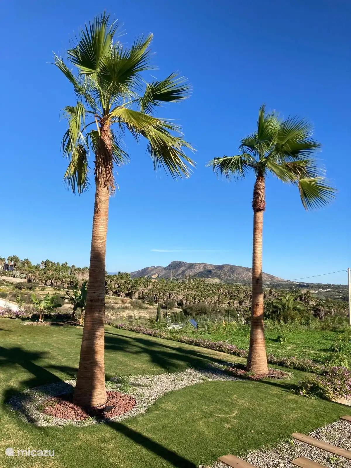 Die moderne Villa steht auf einem Grundstück von 8000 m2.
