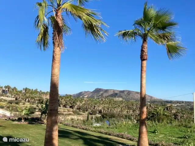 Villa Palmera | Espagne, Andalousie, Alhaurín el Grande - villa La villa moderne se dresse sur un terrain de 8000 m2.