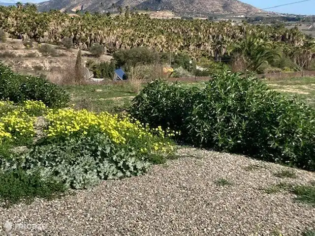 Villa Palmera | Espagne, Andalousie, Alhaurín el Grande - villa Vues illimitées depuis votre propre terrasse de piscine.