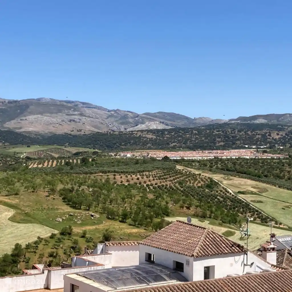 Villa Palmera