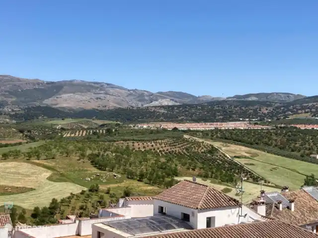 Villa Palmera | Espagne, Andalousie, Alhaurín el Grande - villa L’Andalousie bénéficie d’un climat ensoleillé et d’un beau paysage montagneux verdoyant.