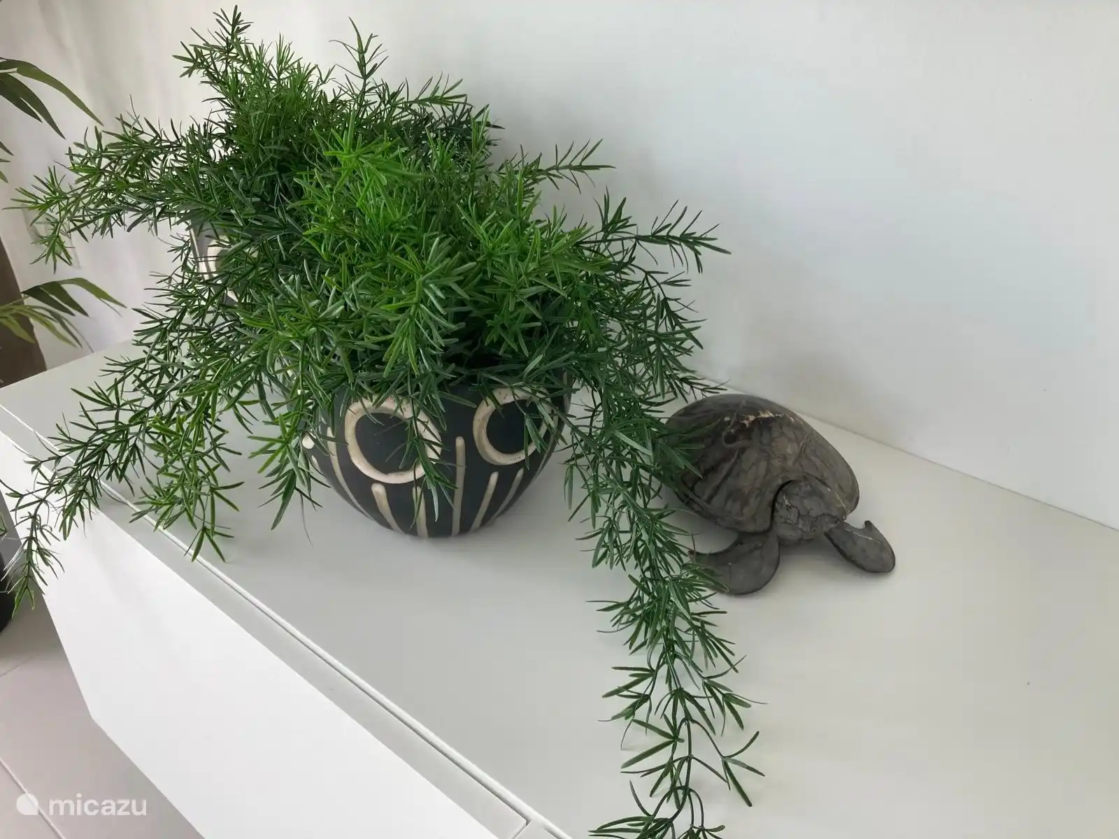 Viel Grün im Wohnzimmer.