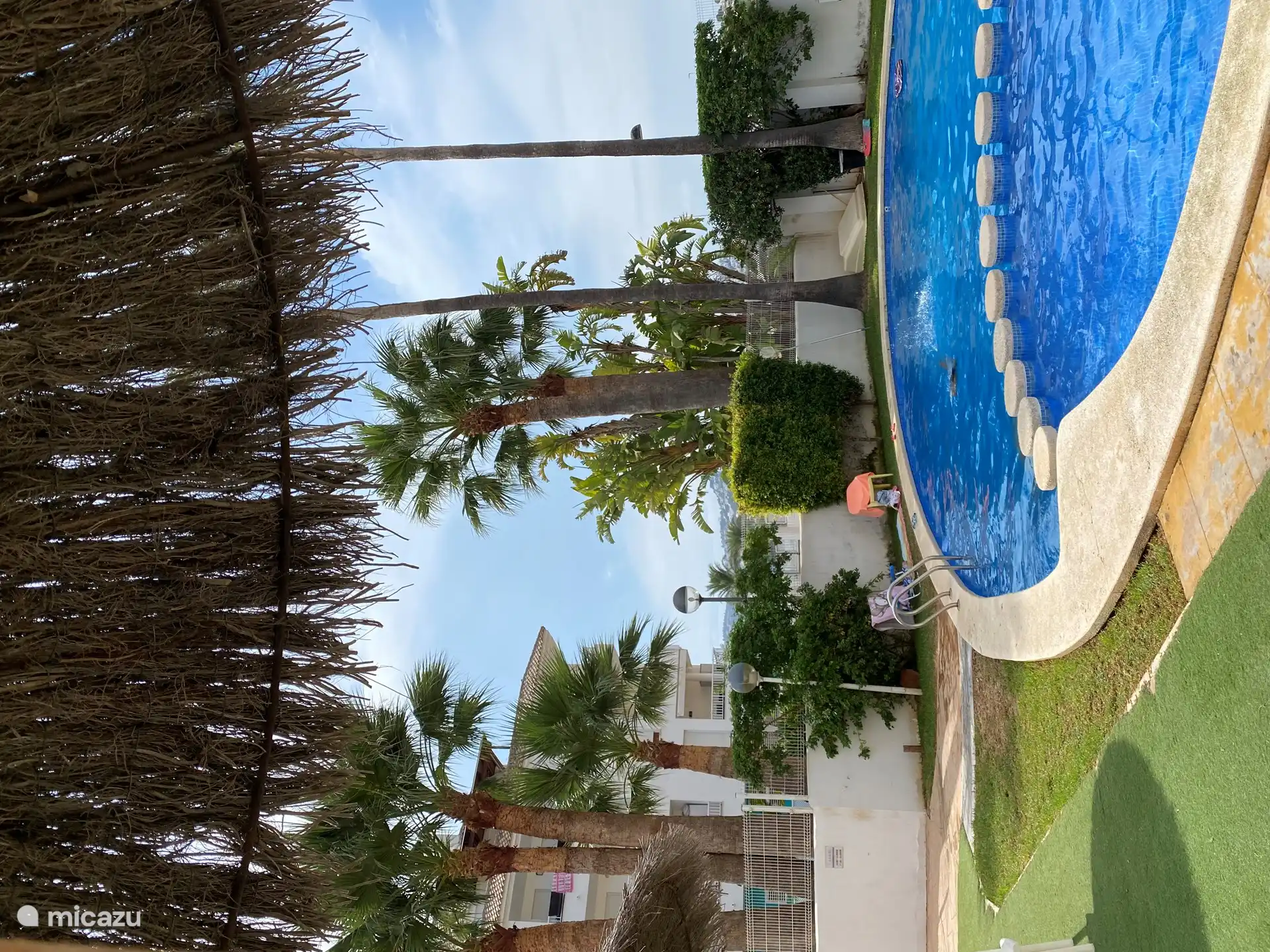 Depuis les chaises longues au bord de la piscine, vous pouvez regarder les palmiers et les montagnes.