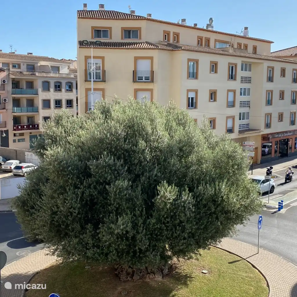 Apartamento Vista Olivo