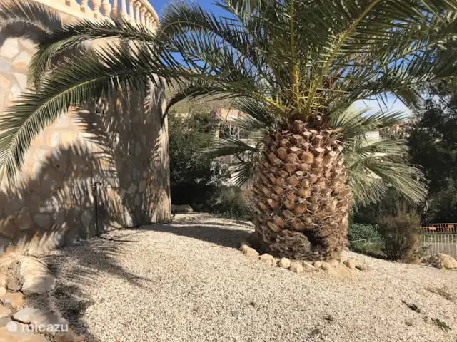 Casa Roca de Leones en España, Costa Blanca, El Campello - villa Jardín