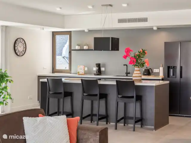 Le quai 5D, près de Handelskade, Punda | Curaçao, Curaçao-Centre, Willemstad - appartement Cuisine ouverte avec réfrigérateur/congélateur, plaque à induction, four et lave-vaisselle.