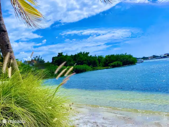 Location de Vacances Curaçao, Banda Ariba (est), Spaanse Water, appartement - Penthouse de luxe Casa Bon Vie Vue depuis la plage.