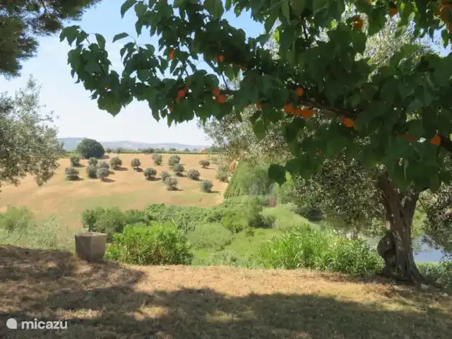 Maison de vacances Abruzzes + piscine | Italie, Abruzzes, Casalbordino - maison de vacances Vue sur la vallée depuis le jardin