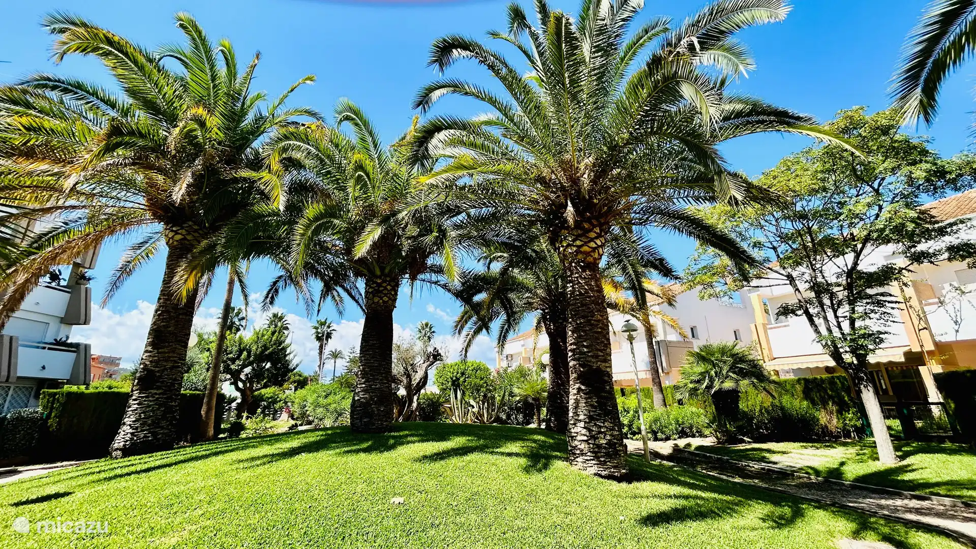 Belle végétation en plein centre de Javea