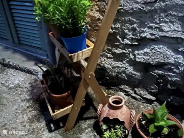 Benvenuti al lago en Italia, Lago de Como, Novate Mezzola - apartamento Terraza