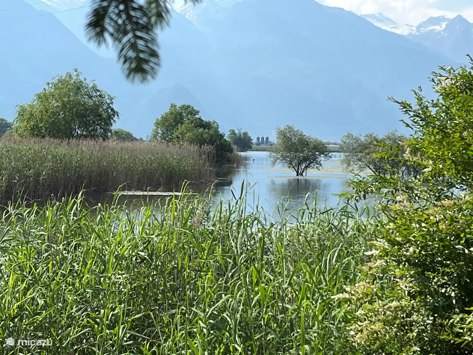 Vista desde el banco en el jardín