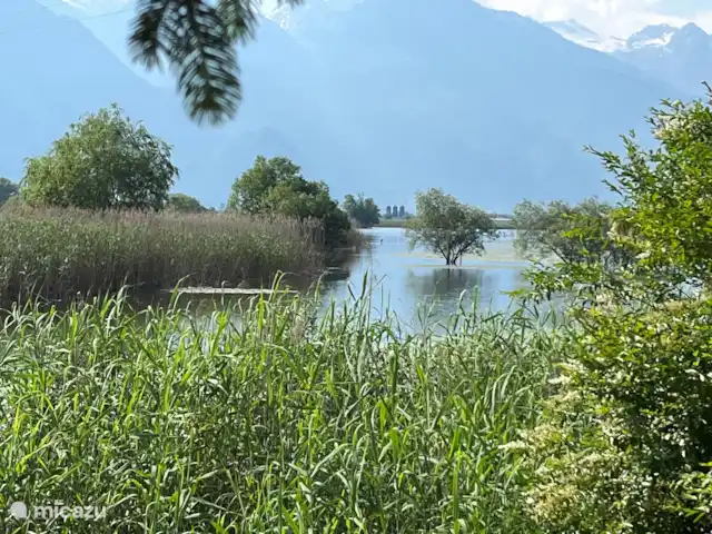 Benvenuti al lago en Italia, Lago de Como, Novate Mezzola - apartamento Vista desde el banco en el jardín