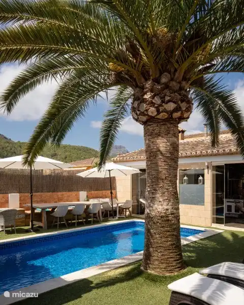 Der Garten mit Swimmingpool