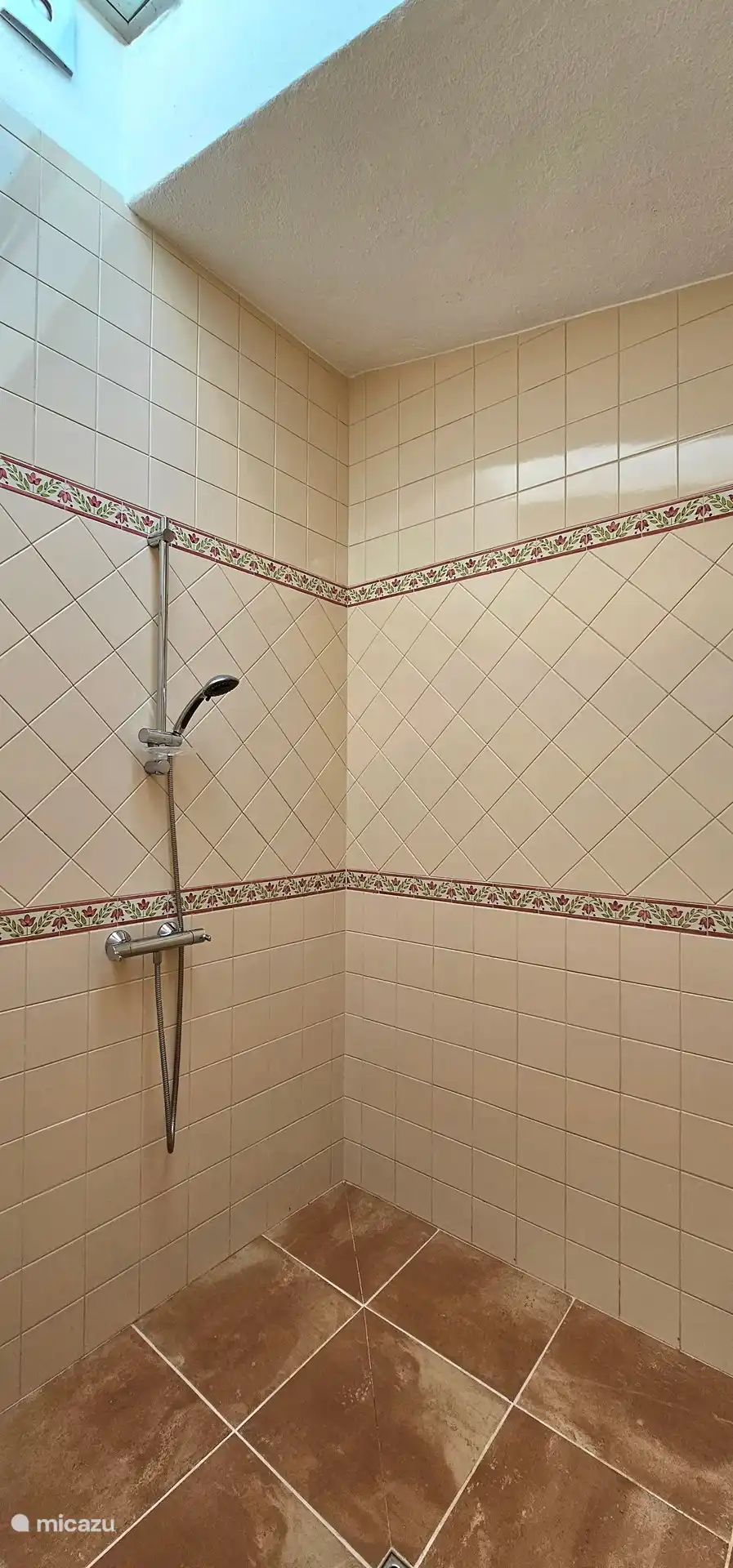 Geräumige Duschkabine im Erdgeschoss.