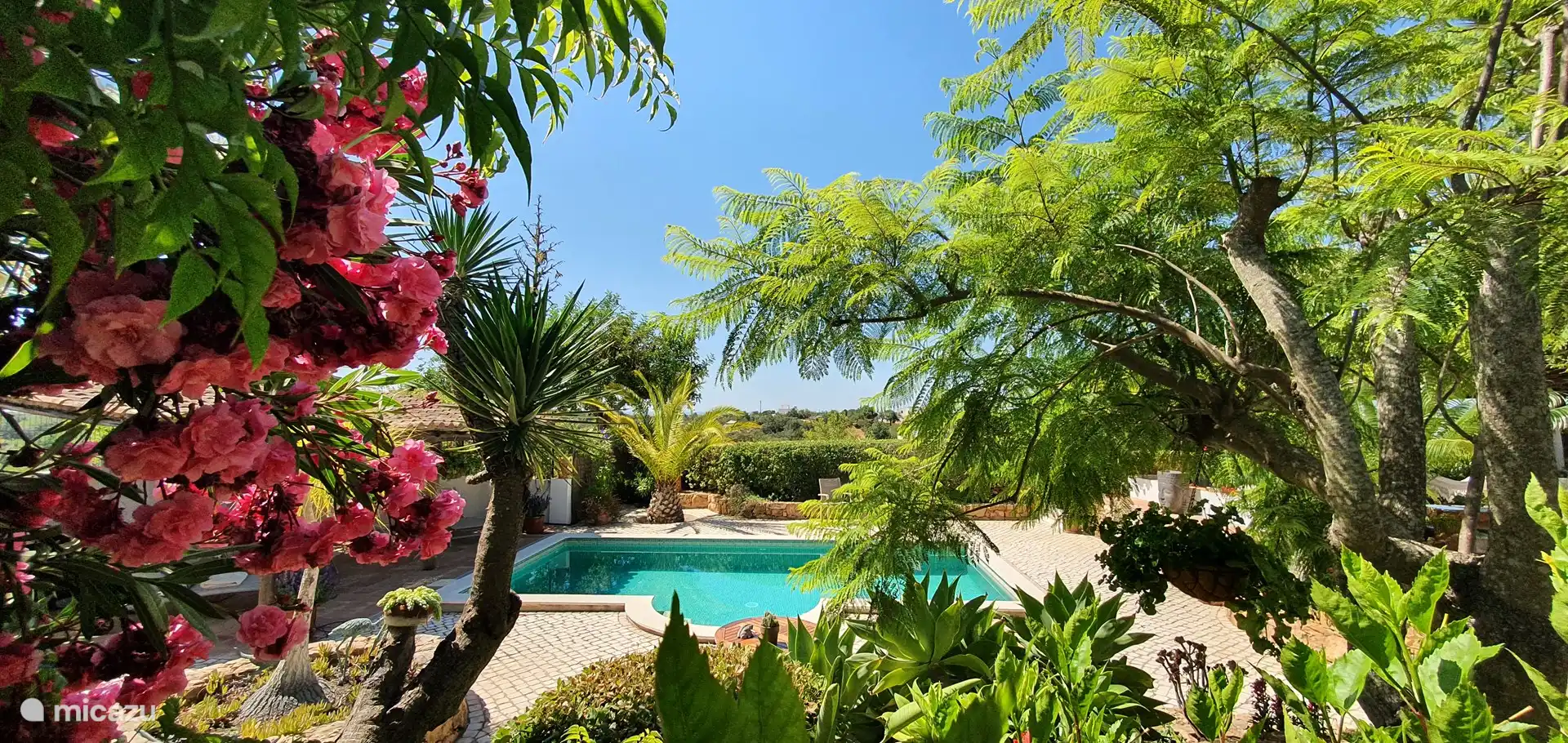 Aussicht beim Gehen zur Haustür.