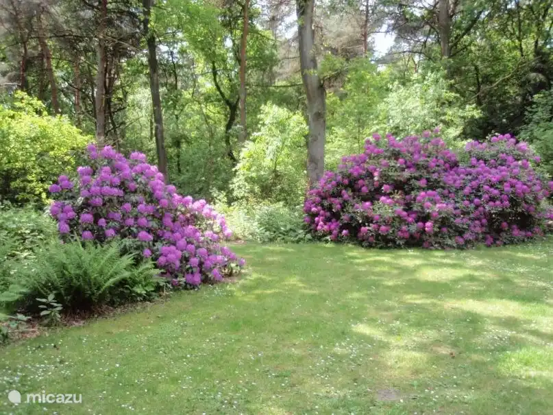 Herrlich mitten in der Natur! (102) in Niederlande, Gelderland, Harfsen - Bungalow