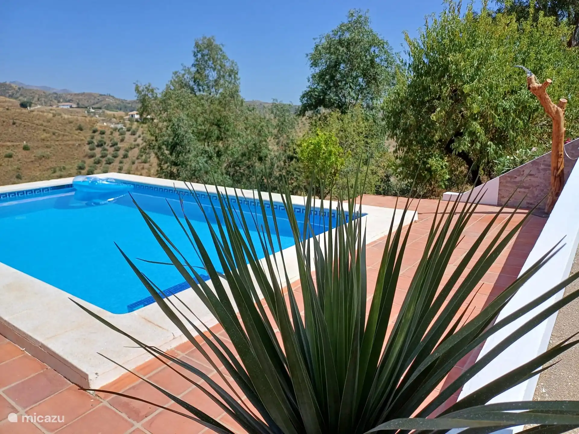 Private pool with view