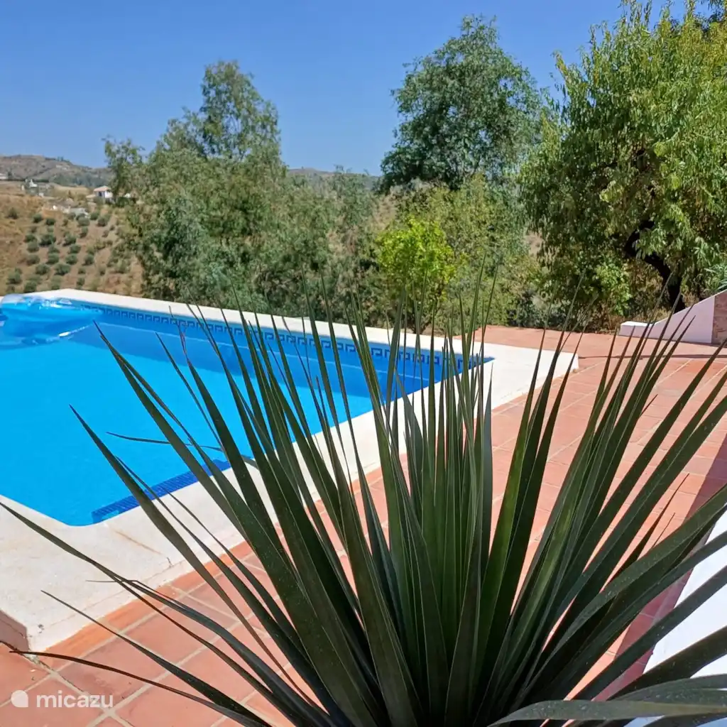 Casa Wenne, foto 3