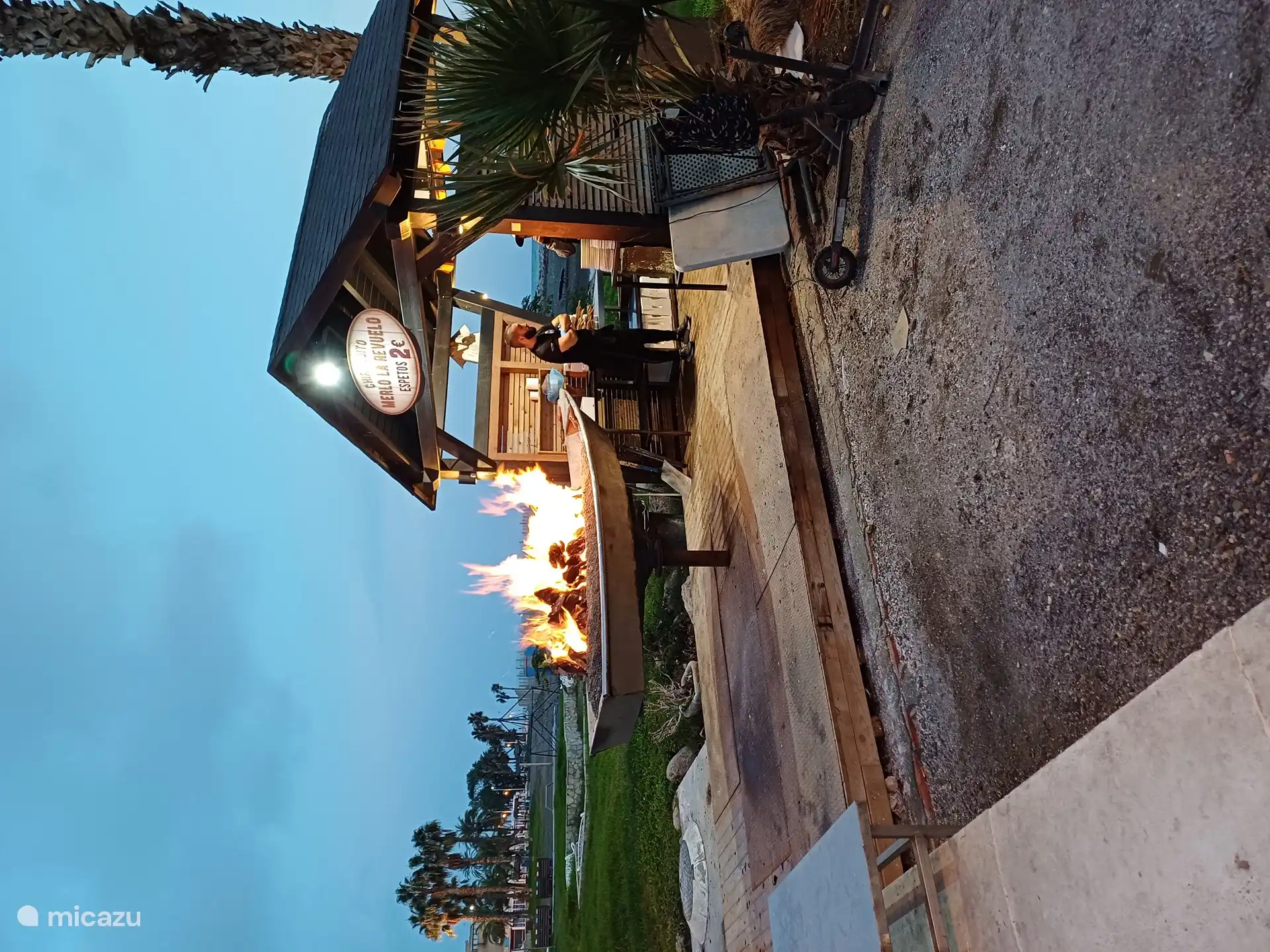 Espetos de sardinas, grilled sardines on skewers. The speciality in Malaga