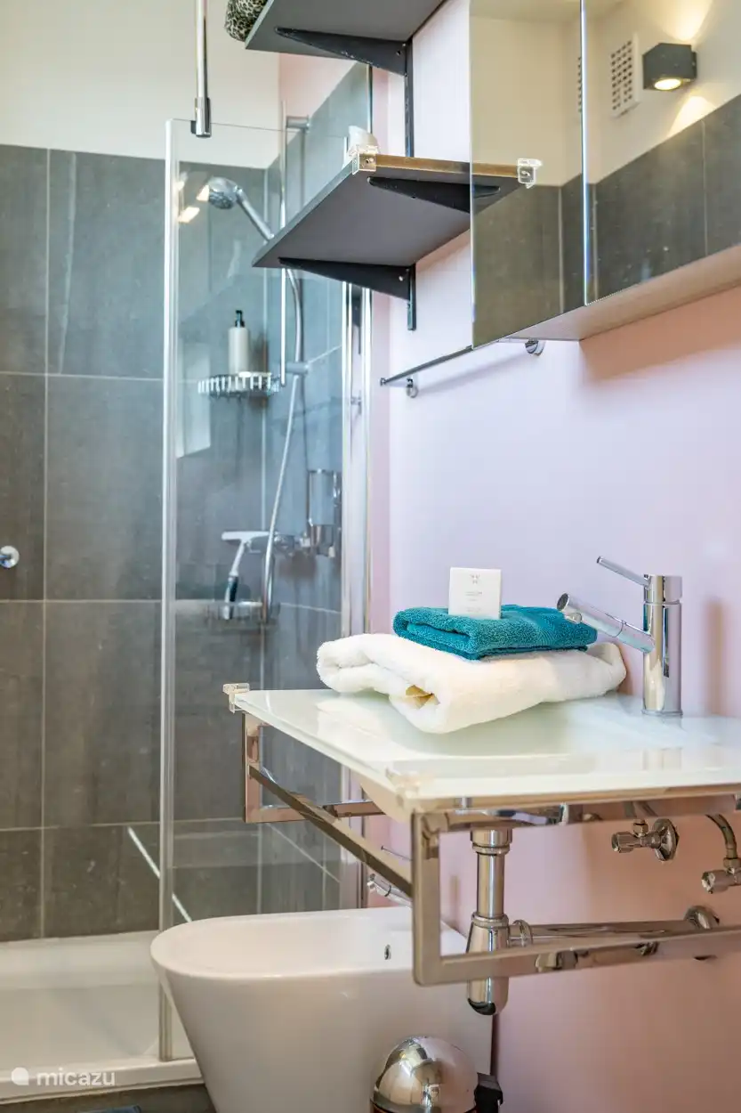 De eerste badkamer met ruime douche.