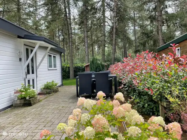 Chalet Sigal | Belgique, Anvers, Poppel - chalet Entrée