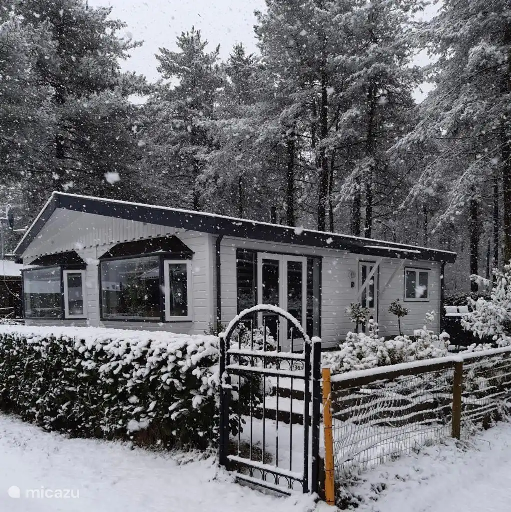 Chalet winter 