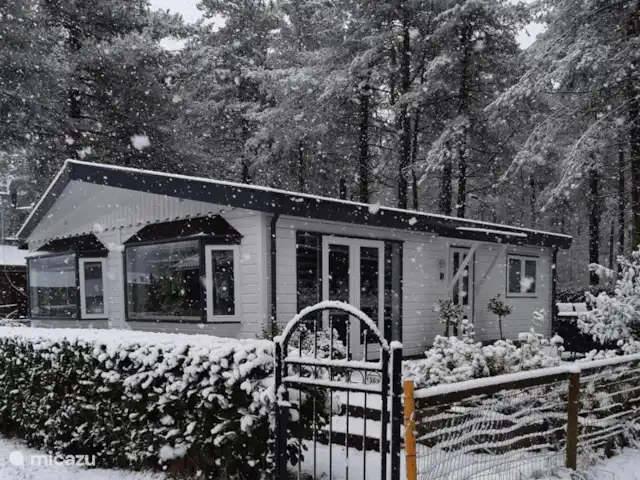 Chalet Sigal | Belgique, Anvers, Poppel - chalet Chalet hiver
