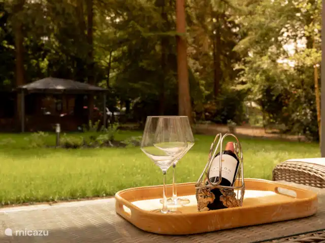 'Het Tegenlicht' un lieu unique | Pays-Bas, Drenthe, Norg - maison de vacances Le jardin est adapté aux jeux en plein air. Encore un peu de patience et les arbres et arbustes nouvellement plantés s’intégreront à nouveau complètement dans l’atmosphère de la forêt.