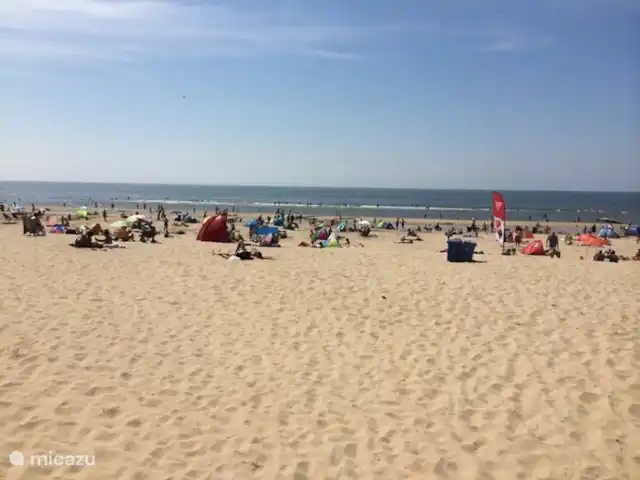 Saint Adelbert | Pays-Bas, Hollande du Nord, Egmond-Binnen - appartement plage
