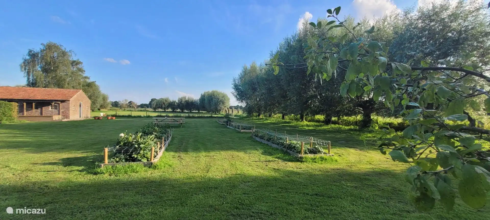 Cueillette des fleurs en croissance