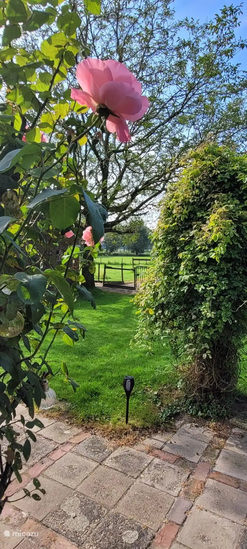 Promenade jusqu’à Whey