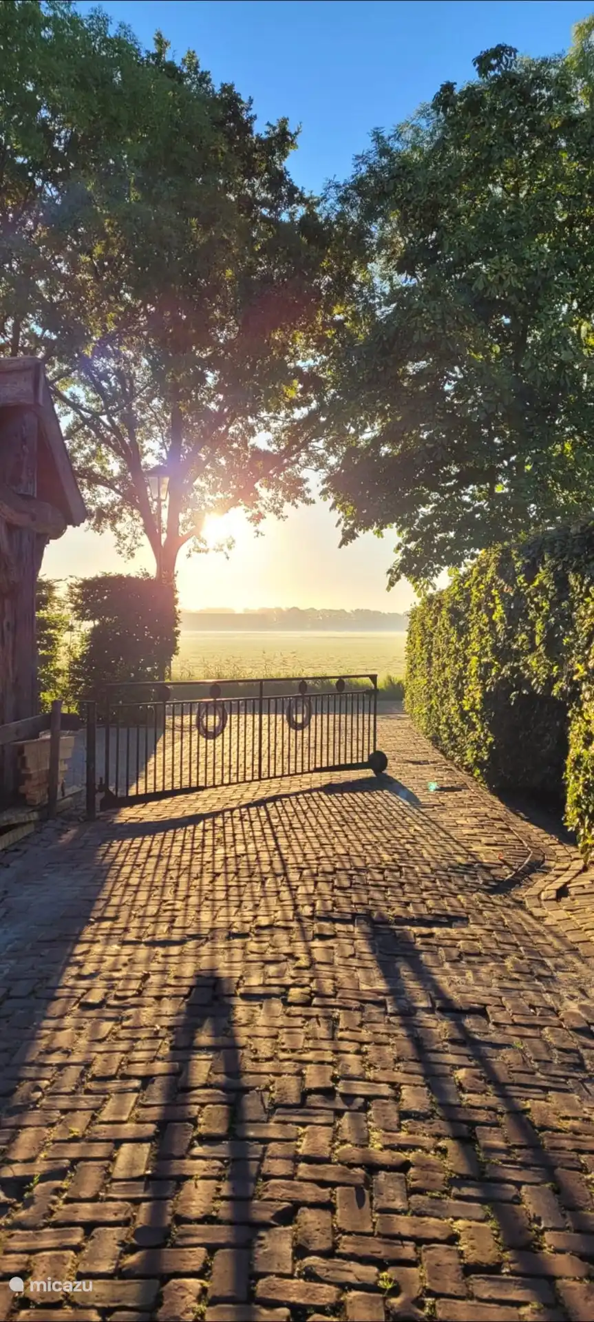 soleil du matin depuis le yard.