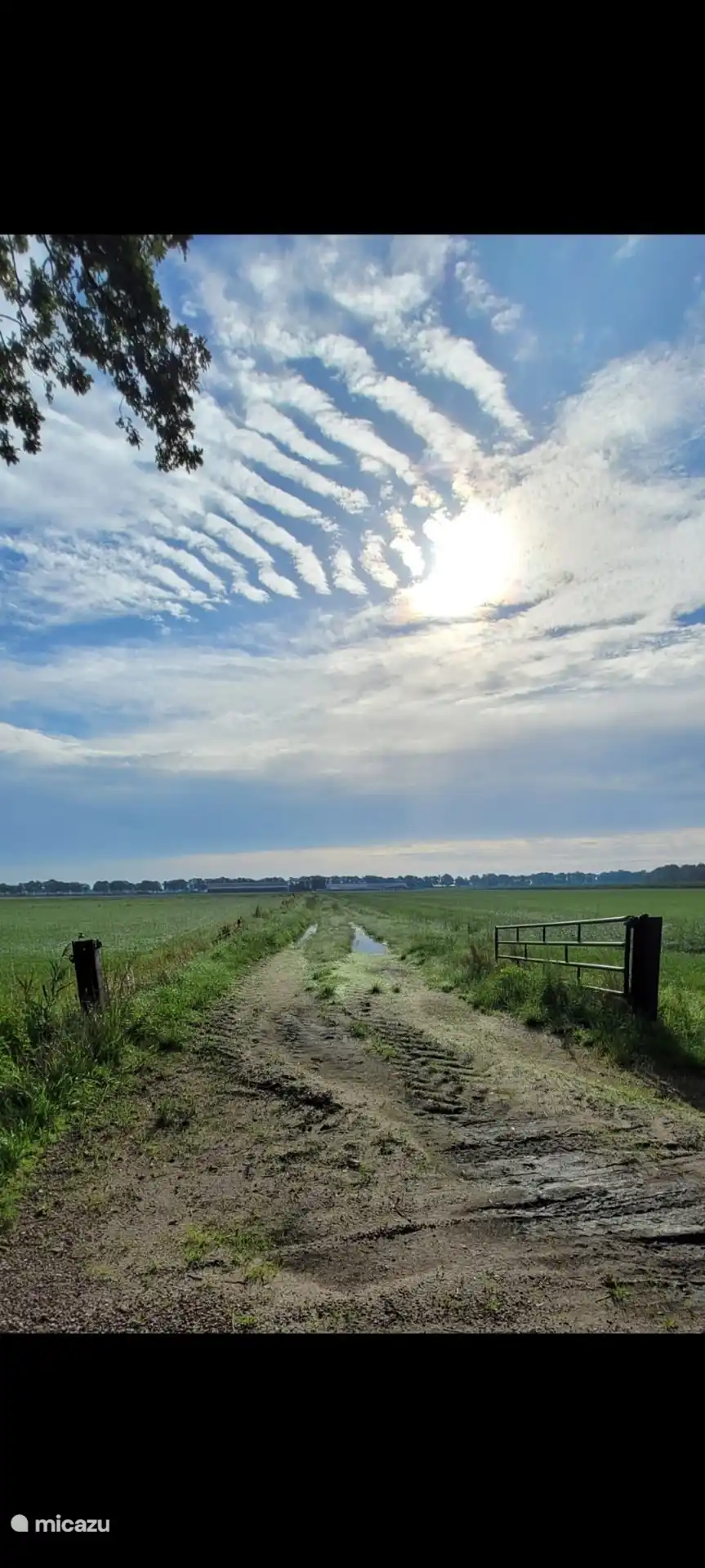 en face de notre ferme - Terres