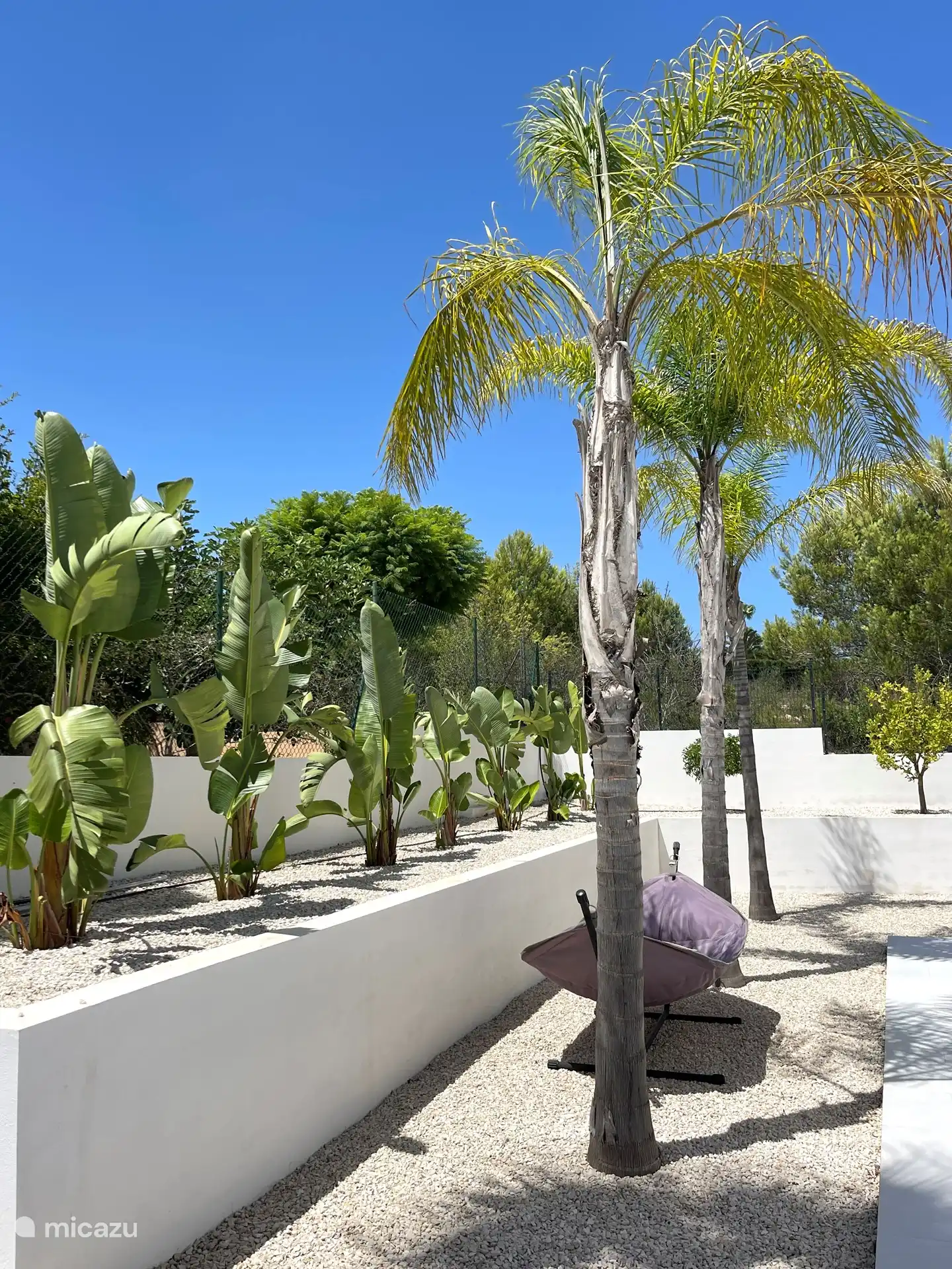 Beau jardin avec des sièges partout, de belles plantes tropicales, des palmiers, un olivier, un hamac