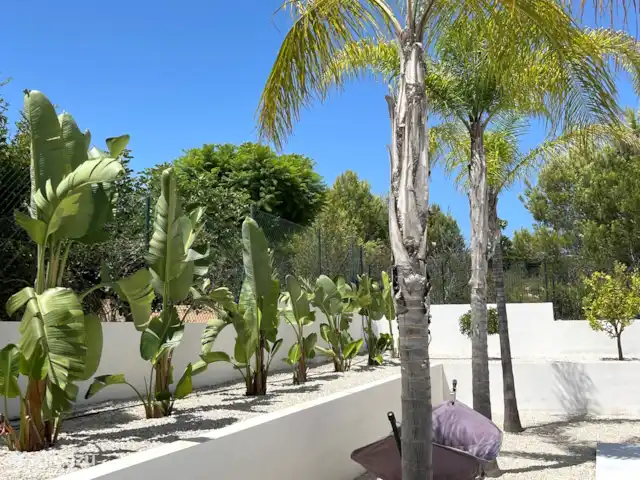 Villa Primavera | Espagne, Costa Blanca, Jávea - villa Beau jardin avec des sièges partout, de belles plantes tropicales, des palmiers, un olivier, un hamac
