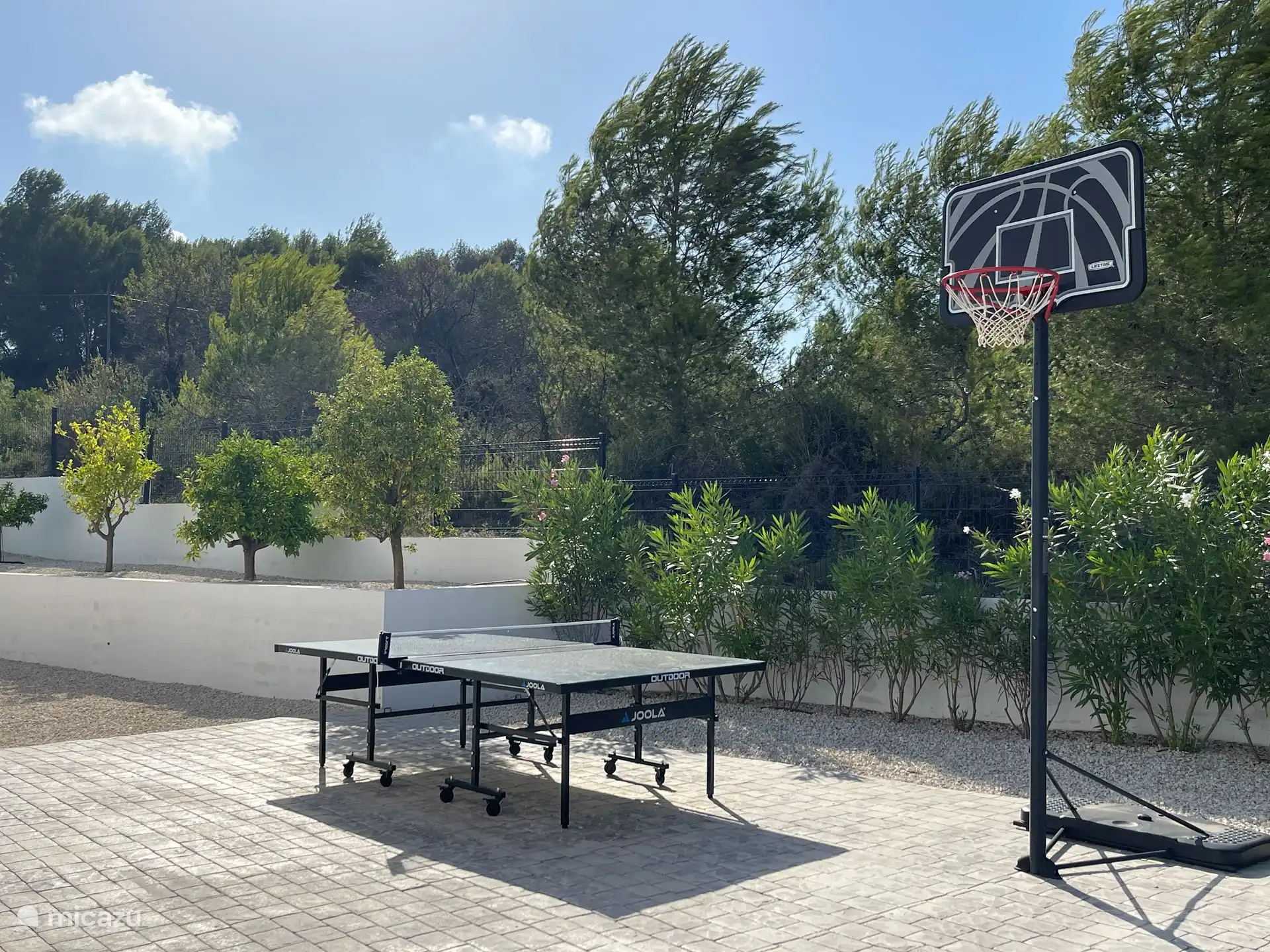 Table de ping-pong et filet de basket à disposition