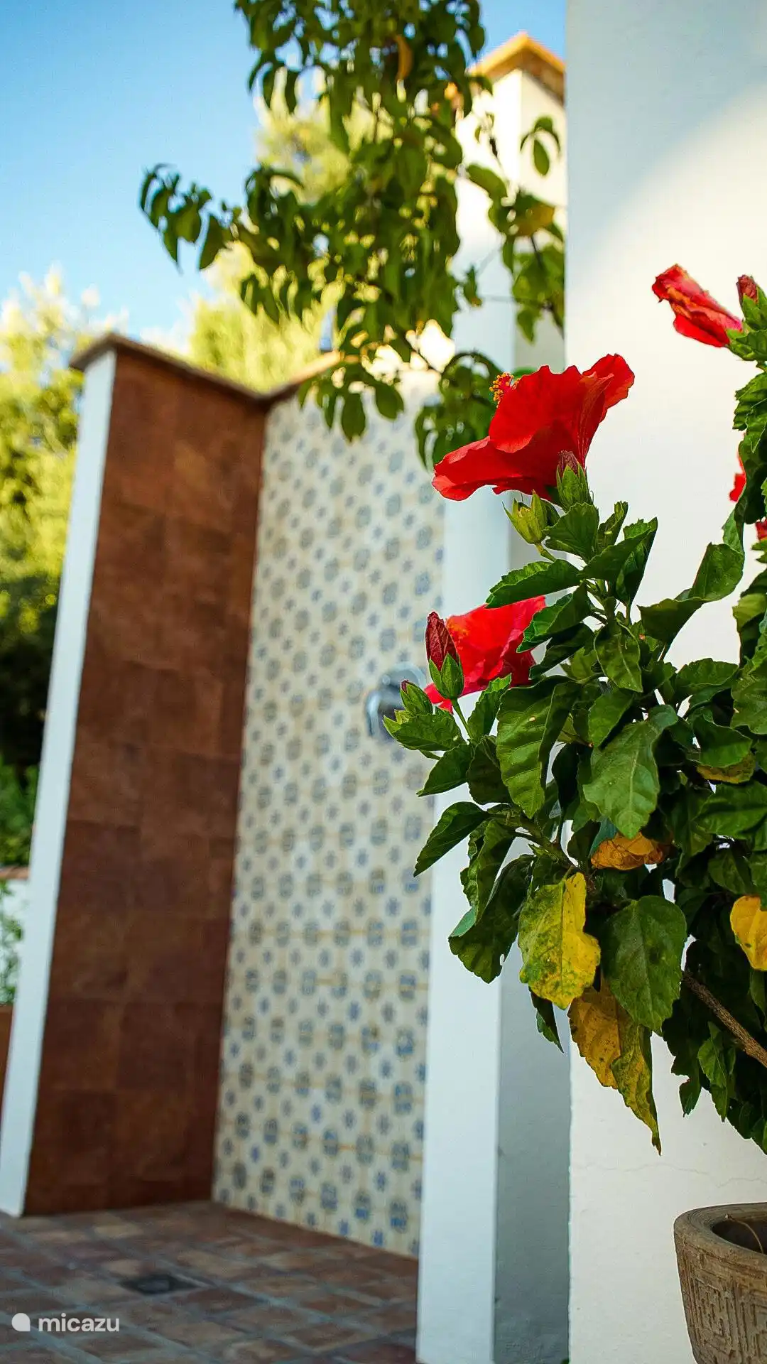 Tuin en buitendouche