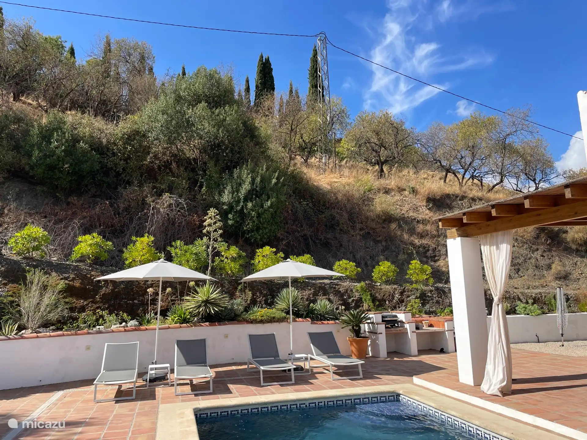 Zwembad met ligbedden