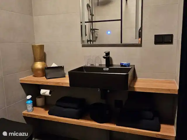 Casa Viva La Vida en Países Bajos, Holanda Meridional, Noordwijkerhout - casa vacacional Cuarto de baño con ducha, inodoro y lavabo.
Champú y jabón disponibles, así como un secador de pelo.