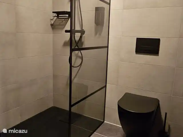 Casa Viva La Vida en Países Bajos, Holanda Meridional, Noordwijkerhout - casa vacacional Cuarto de baño con ducha, inodoro y lavabo.
Champú y jabón disponibles, así como un secador de pelo.